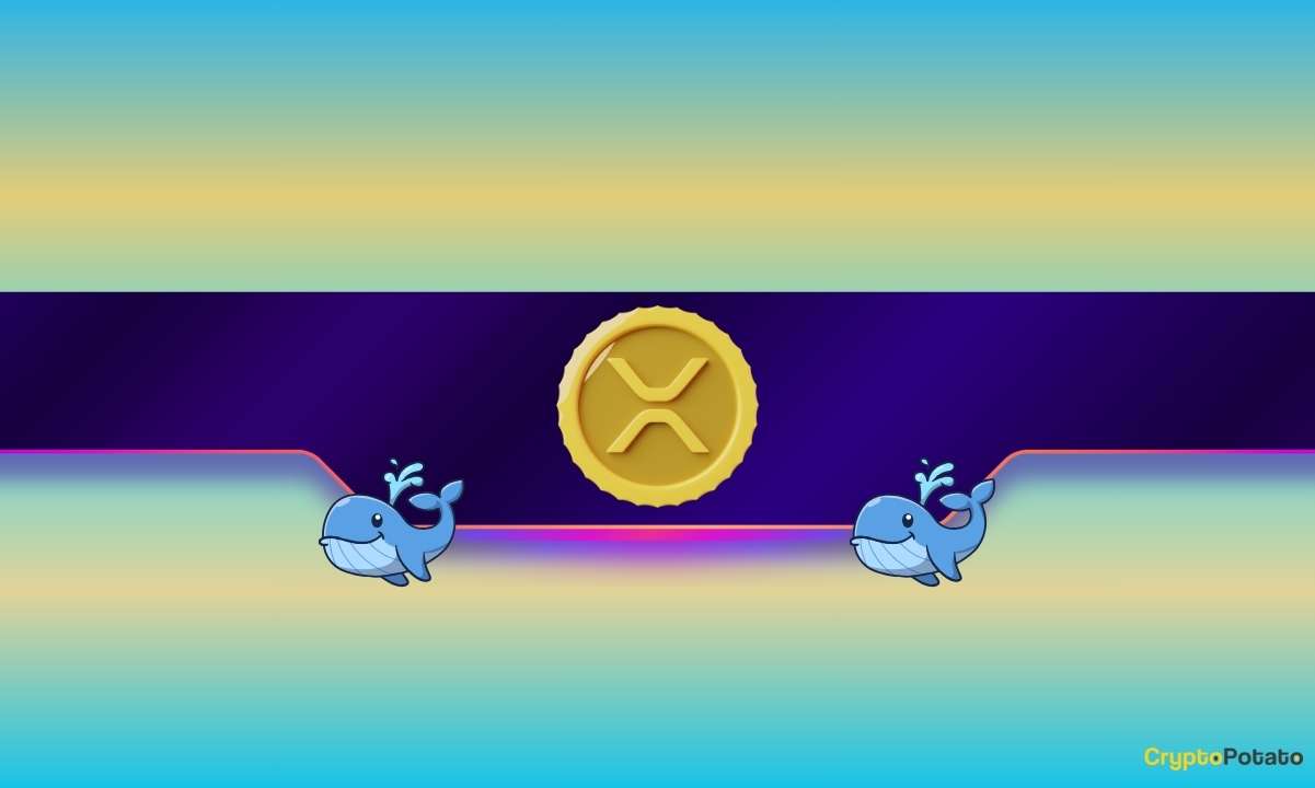 Ripple Whale Makes Another Purchase: Is XRP Ready for New Heights?
